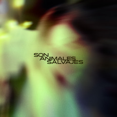 Son Animales Salvajes