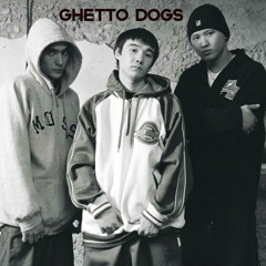 TrueWave ft Ghetto Dogs-AE