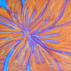 Amebit -what you wantt