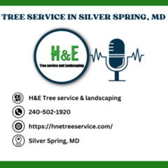 How much does it cost to remove a tree in Silver Spring, MD