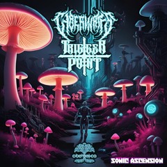 CyberWatts&TriggerPoint - Sonic Ascension