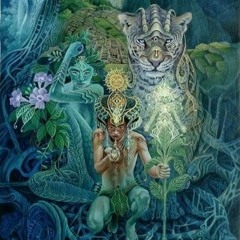 Ayahuasca - CELS - DJSET 2021