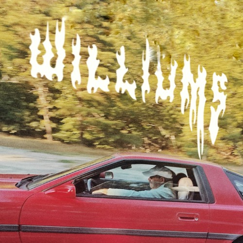 williums - foolish