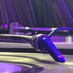 SHEDistic (vinyl only)