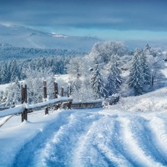 POEZII DE IARNA PENTRU COPIII ❄ A - Nceput De Ieri Să Cadă ❄ Brăduleț, Brăduț Drăguț! [colaj]