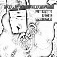 Soundmurderer ‎– Wired For Sound (2003) Part 1