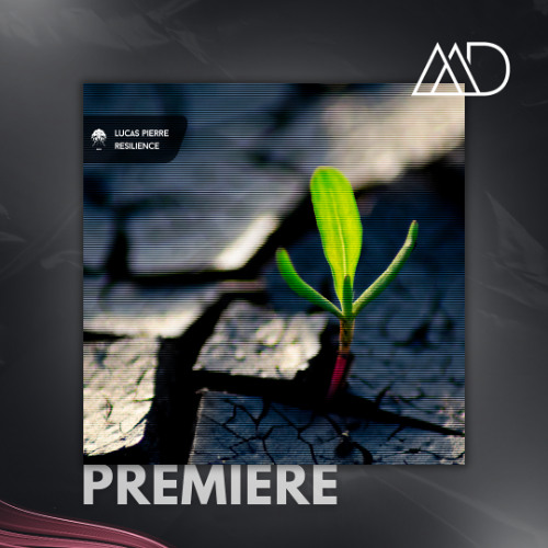 PREMIERE: Lucas Pierre - Resilience (THE TIMELESS (be) Remix) [Bonzai Progressive]