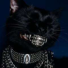 ᴍᴀɢɴᴇᴛᴛᴏ_ꜱᴇᴛ