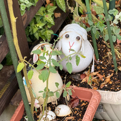 は・な・は・だ・し・く(DEMO)