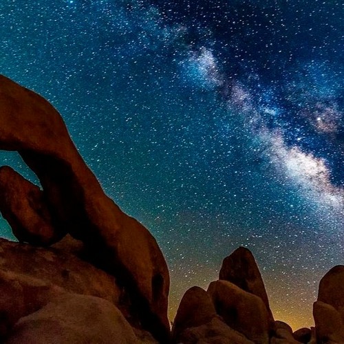 Sidetrakt @ Desert Bloom Aug. 2020