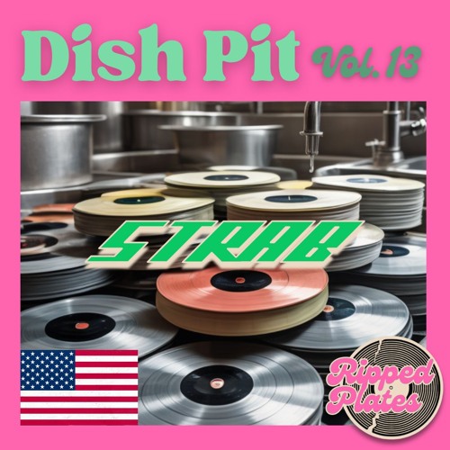 strab - dish pit #013