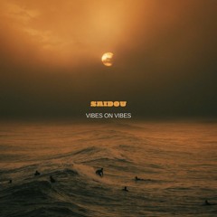 Saidou - Vibes on Vibes