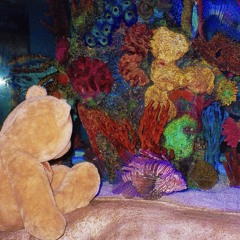 Sizing Up All My Quams