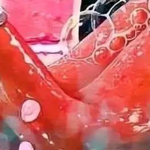 De TU MANO