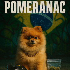 czl - Pomeranac