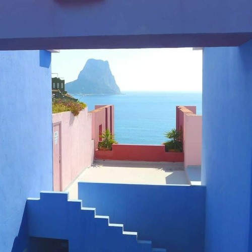 Chemtrails over the cherry trees