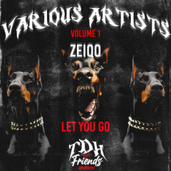 Zeiqo - Let You Go
