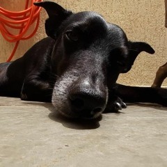 Contramão do toma toma DJ Golla MC'S 7 BELO, GW e TH