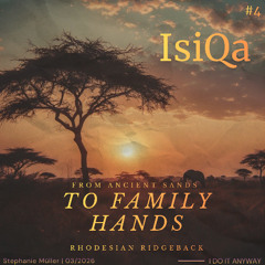 Rhodesian Ridgeback - IsiQa #4