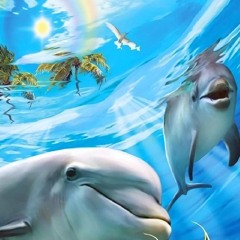 Ocean