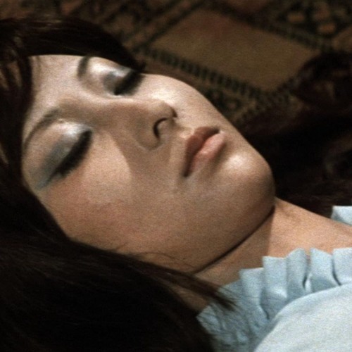 telling myself (zukobain andi2k yonko)