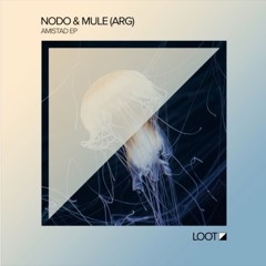 Premiere: Nodo & Mule (Arg) - Ambar (Viktop Remix) [Loot Recordings]