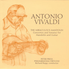Concerto in d for Guitar, Viola d'Amore, Strings & Continuo, RV 540: I. Allegro