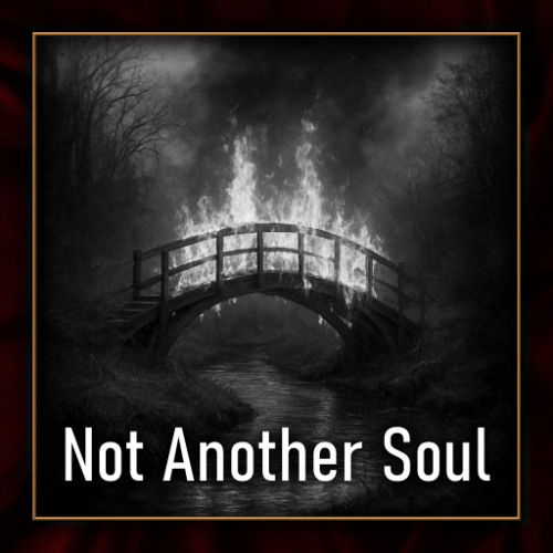 Not-Another-Soul