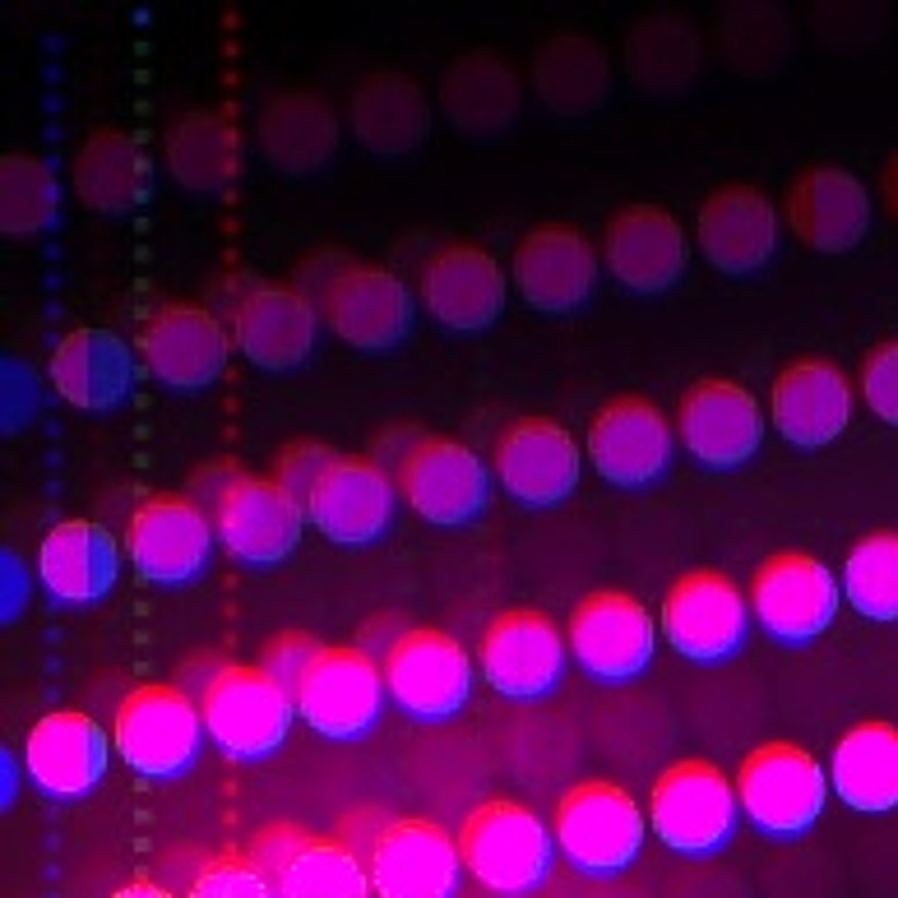 Sonic Encounters: An Original Music Podcast by Synthesist Mark Mosher