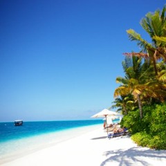 ﾔｼﾞｭｾﾝﾊﾟｲｲｷｽｷﾞﾝｲｸｲｸｱｯｱｯｱｯｱｰﾔﾘﾏｽﾈ beach side