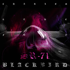 Blackbird