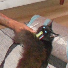 502twin - chowder (murph x tjay)