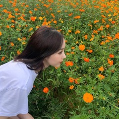 SINB - You Are Like My Dream