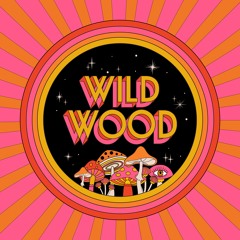 Wild Wood 2025 artists