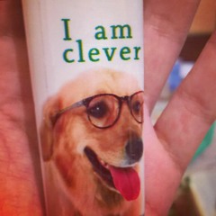 SPYRO THE DRAGON type beat