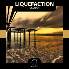 Liquefaction - Secret (Lizplay Records)