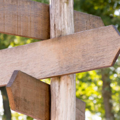 Notes for the Wilderness: I am transforming you