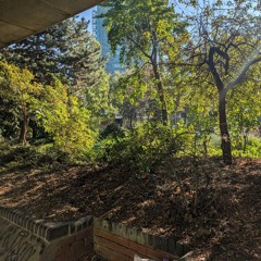 pretender (alice phoebe lou)