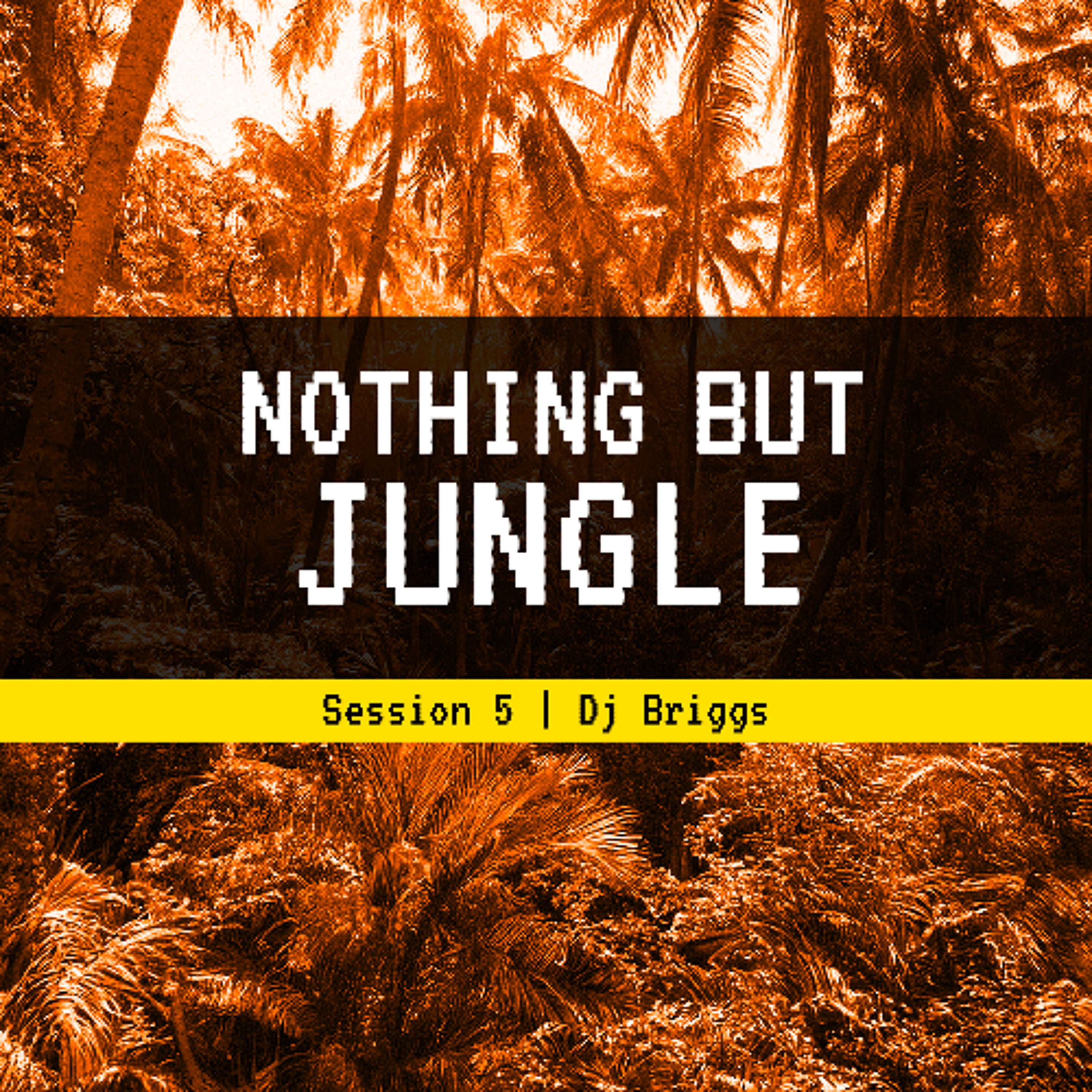 Nothing But Jungle Session 5 episode artwork