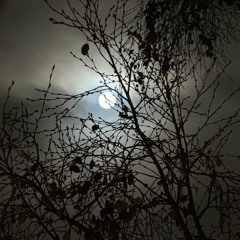 Where It Don't End (Demo)