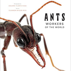 DOWNLOAD EPUB 📥 Ants: Workers of the World by  Eleanor Spicer Rice &  Eduard Florin