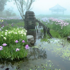 The dream that i have every night.