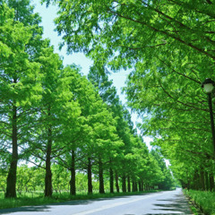 Prism -Original Pop Rock