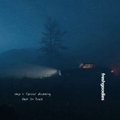 eaup & forever dreaming - Back On Track