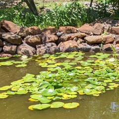 Bweagle - Deephouse056