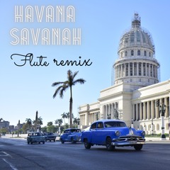 Havana Savanah  Flute remix  (Ft Joerxworx)