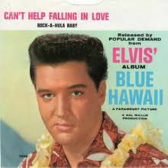Cant Help Falling In Love - Elvis Presley Cover
