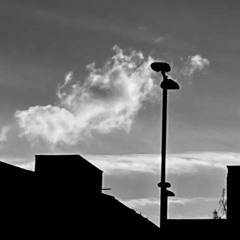 Sad Sad Feet (Acoustic  Version) - Cate Le Bon cover