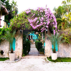 Casa Gatos El refugio tropical perfecto en Akumal