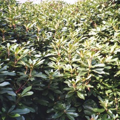 tr4um @ studio illegale 31/08/24